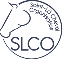 Logo SLCO